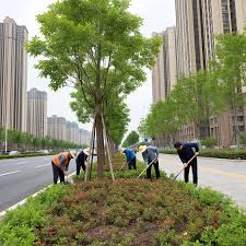 2026世界杯官网 新乡市城市绿化实施细则